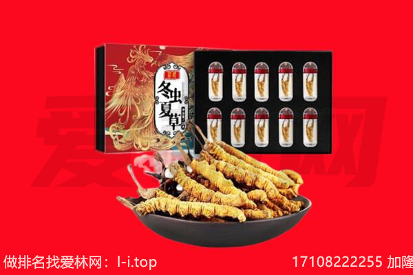 江达县回收虫草.jpg